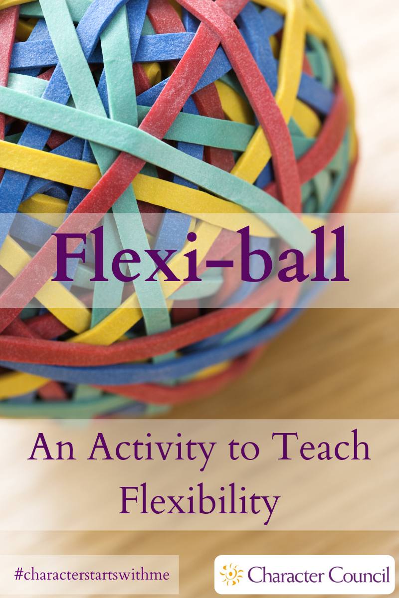 Flexibility Activity 2