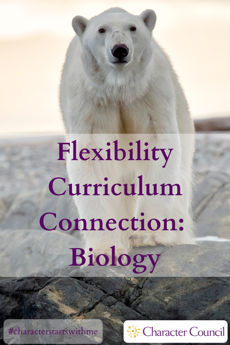 Flexibility Curriculum Connection
