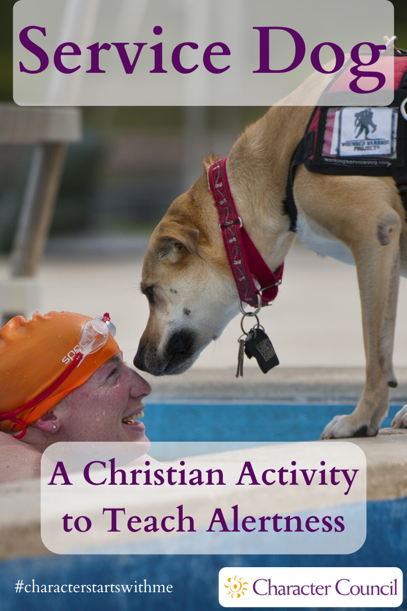 Service Dog